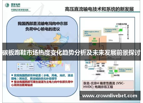 碳板跑鞋市场热度变化趋势分析及未来发展前景探讨