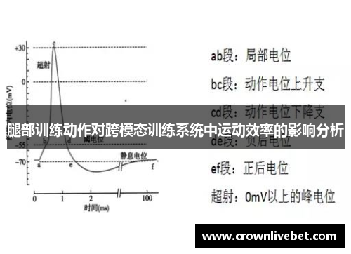 腿部训练动作对跨模态训练系统中运动效率的影响分析